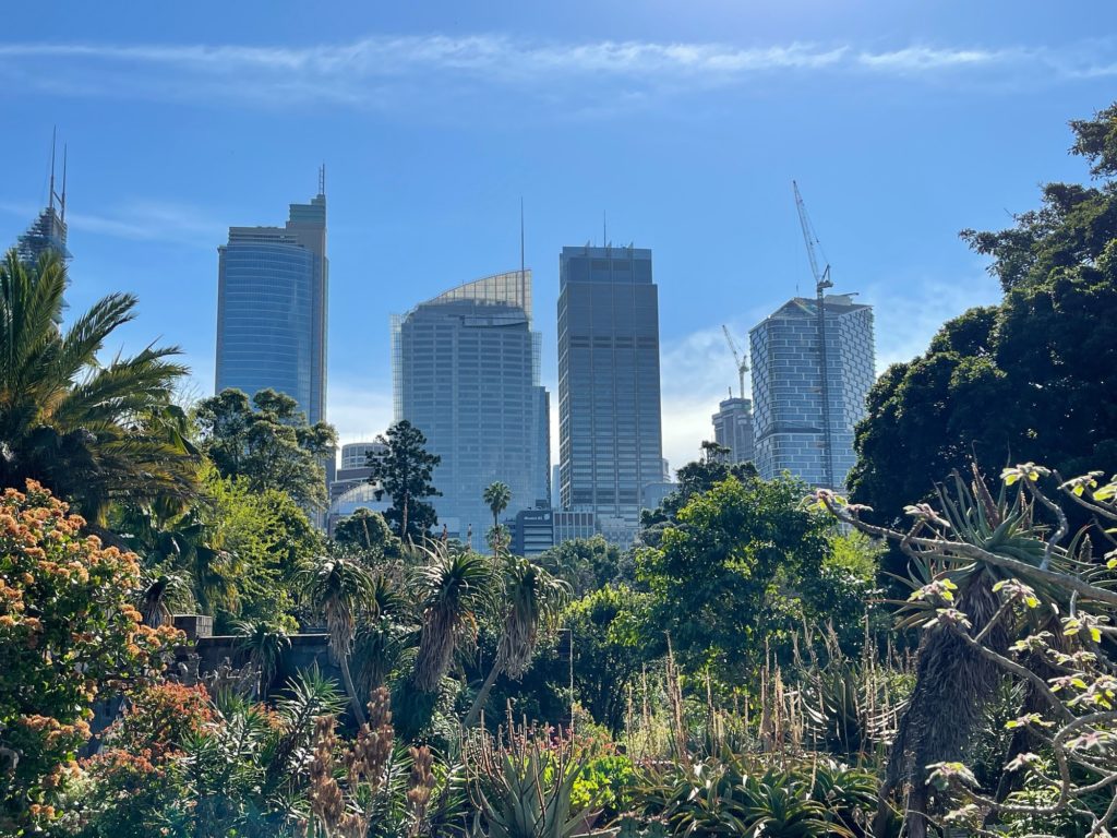 Sydney Royal Botanical Garden